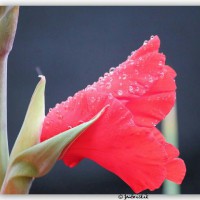 Moderne Lebensweisheiten